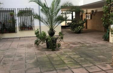 Aroma de azahar, en San Basilio - Foto 21