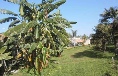 Finca las Palmeras - Foto 51