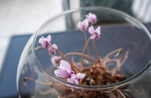 VILLA MARIA PF EE - Foto 24