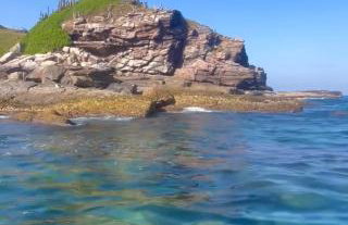 Flamboyant - Foto 14