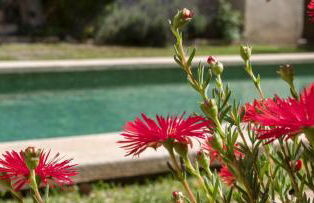 Villa Palma 3 - Foto 15