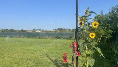 Casa Francesco - Foto 2