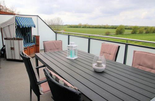 Gänseblümchen - Foto 7