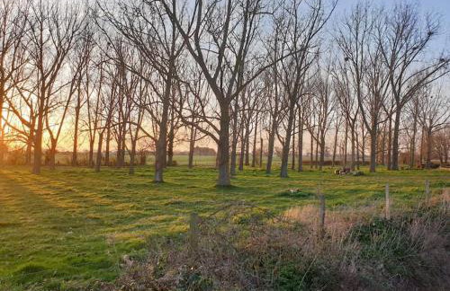 The Old Dairy Accommodation - Foto 29