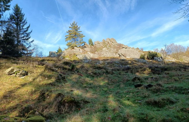Schones Ferienhaus mit Grossem Garten bei Stadlern - Foto 22