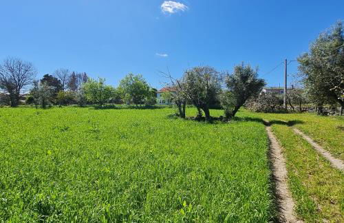 Quinta JR - Casa de campo - Foto 27