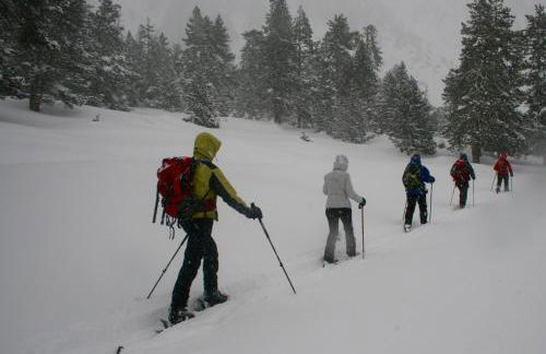 Amaroq Explorers BaseCamp - Foto 16