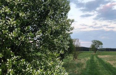 Sosnówka - dom wypoczynkowy na Kurpiach - Foto 37