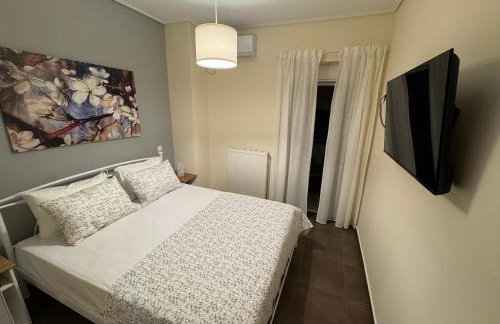 Athens view penthouse with private parking - Foto 18