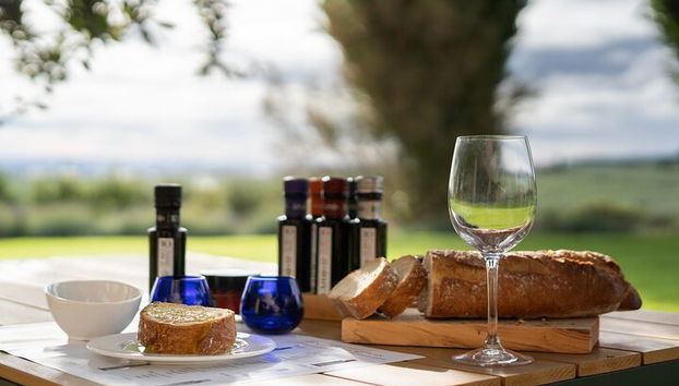 Oleotourism in Navarre. Visit and tasting of organic EVOO Artajo - Photo 2