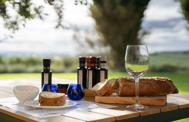 Oleotourism in Navarre. Visit and tasting of organic EVOO Artajo - Photo 2