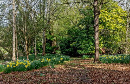 1 Bed in Northallerton oc-82336 - Foto 12