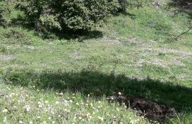 mer et campagne - Foto 11