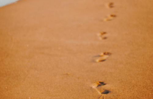 Charmante Maison Rénovée Proche Plage et Forêt avec Jardin - FR-1-652-57 - Foto 31