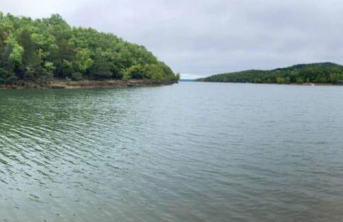 Cozy Lakeside Getaway - Outdoor Theater - Free Early Check-In- 4min to Silver Dollar City - Foto 36