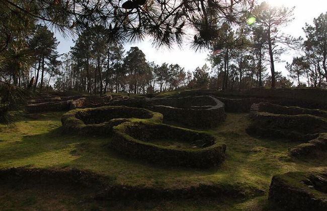 Casal de Cereixo - Foto 39