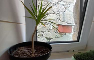 Casa Kasule - RRAL4671 - Foto 17