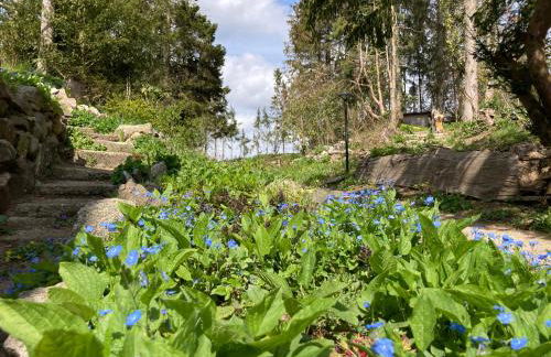 Ferienhaus Leezen - Foto 35