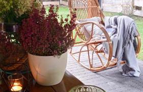 Siedlisko Czarny Dzięcioł - Foto 31