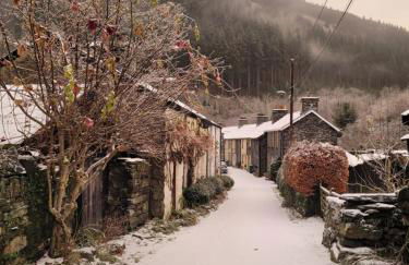 Ty Golchi - Cosy traditional cottage in Corris - Photo 25