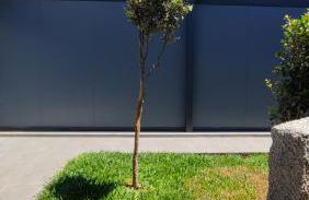 The Jolie - A Retreat in the City in an Entire House - Foto 59