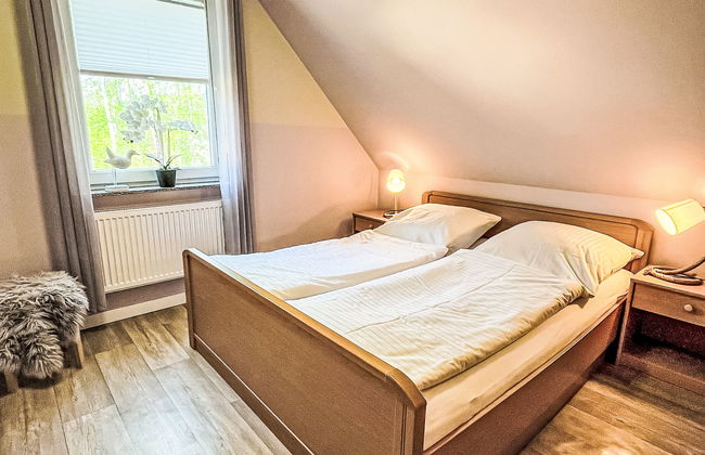 Möwennest + Muschelnest - Foto 20