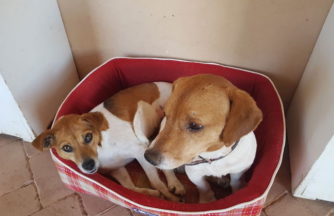 Le Jardin aux Etoiles - Foto 31