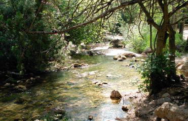 La Casa de la Abuela Clotilde - Foto 8