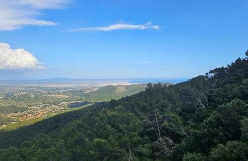Finca Es Verger Coll de Tords - Photo 26