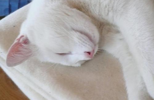 Ferienwohnung Atteltal - Foto 26