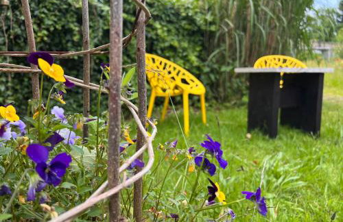 Ferienwohnungen in Stresdorf - Photo 14