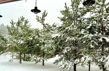 Mazurska Sarenka - Foto 30