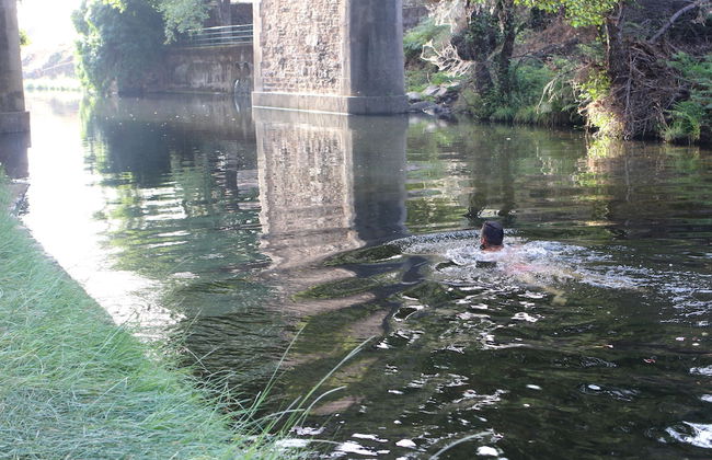 La Grulla Dorada - Foto 55