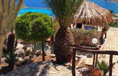 Palma Dello Zingaro - Foto 1