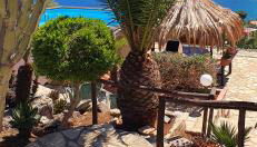 Palma Dello Zingaro - Foto 1, Garden, Garden view