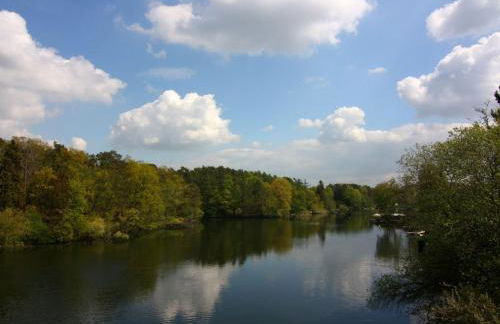 Ferienwohnung am Prüßsee in Güster - Foto 38