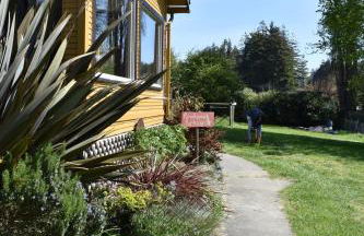 Farmhouse Cabin in the Redwoods - Foto 26