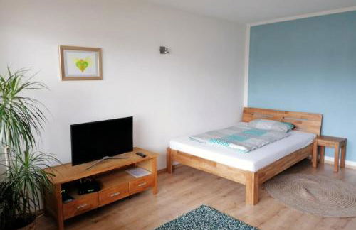 schöne Wohnung mit Balkon, zentrumnah - Foto 1