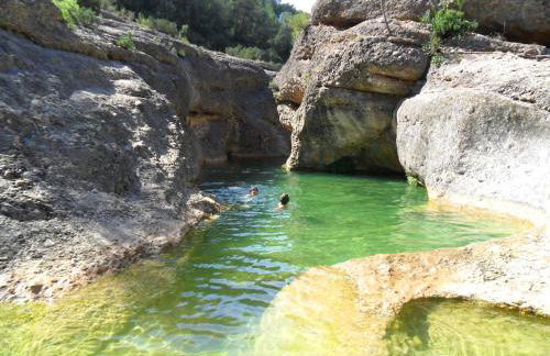 El Racó de les Grases - Foto 26