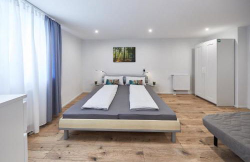 Wohnung 7 - nur 5-10 min vom Europa-Park - Foto 20