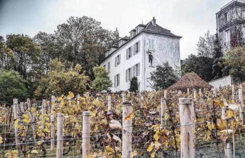 Rare appartement d'architecte en haut de Montmartre - Foto 51