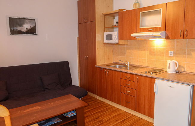 1 bedroom Apartment in Rokytnice nad Jizerou - Photo 8