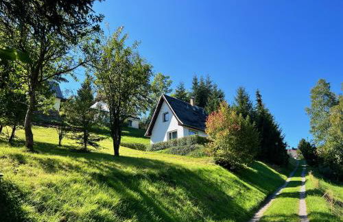 Urige Berghütte mit Kamin und Sauna im Erzgebirge nahe Schwarzwassertal - Foto 9