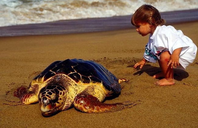 Minta Apart - Foto 46