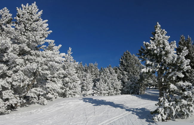 Appart Vacances Pyrénées 2000 - Foto 19