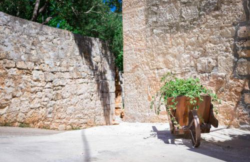 Holiday house Jogo - Photo 2