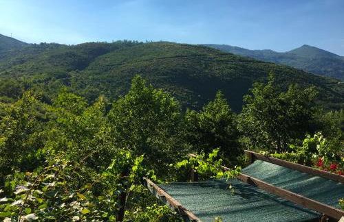 Retiro Da Arminda - Foto 22