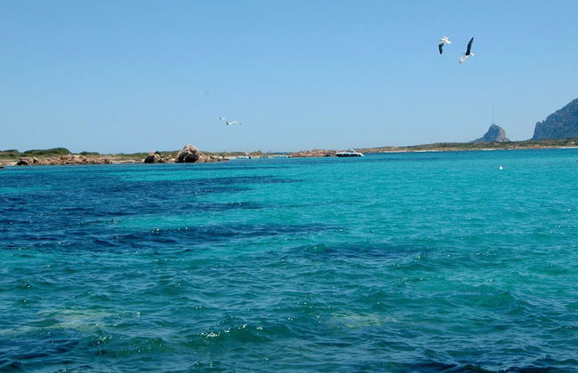 Il Borgo 13/2 700m From The Beach - Foto 13