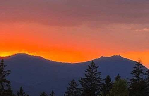 Schreinerhof - Foto 6