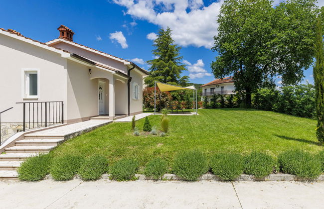 Klementini - Foto 21